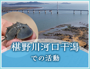 椹野川河口干潟での活動
