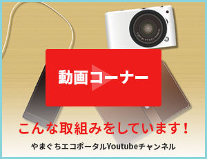 こんな取組みをしています!