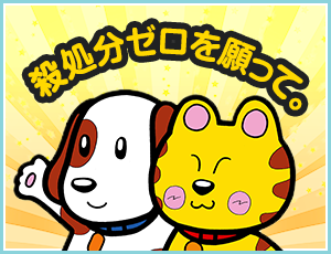 殺処分ゼロをねがって。