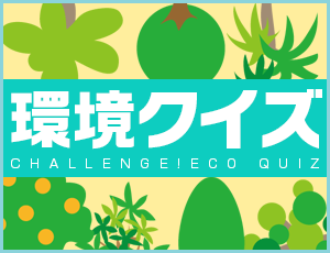 環境クイズ